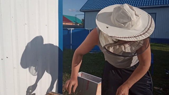 Пересадка в Нижегородец Бакфаст смотреть онлайн