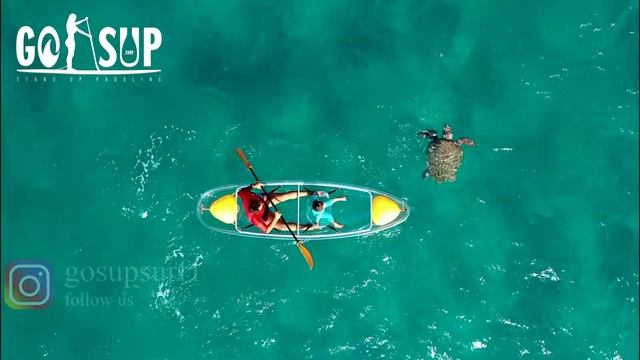 GO-SUP Surf & Kayak: Turtle Spotting in Zakynthos смотреть онлайн