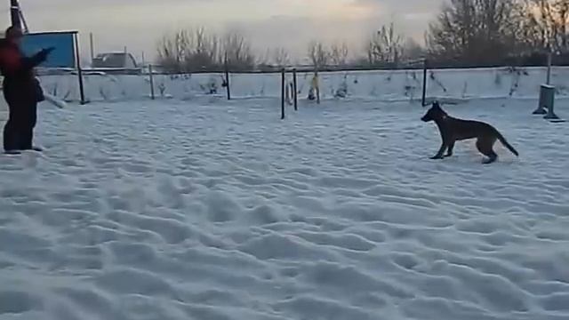 FAST FLOCK VAKSA 7 месяцев зимние забавы смотреть онлайн