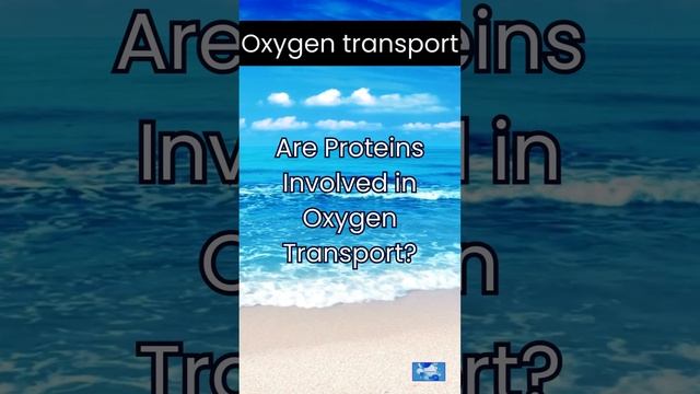 Are Proteins Involved in Oxygen Transport? смотреть онлайн