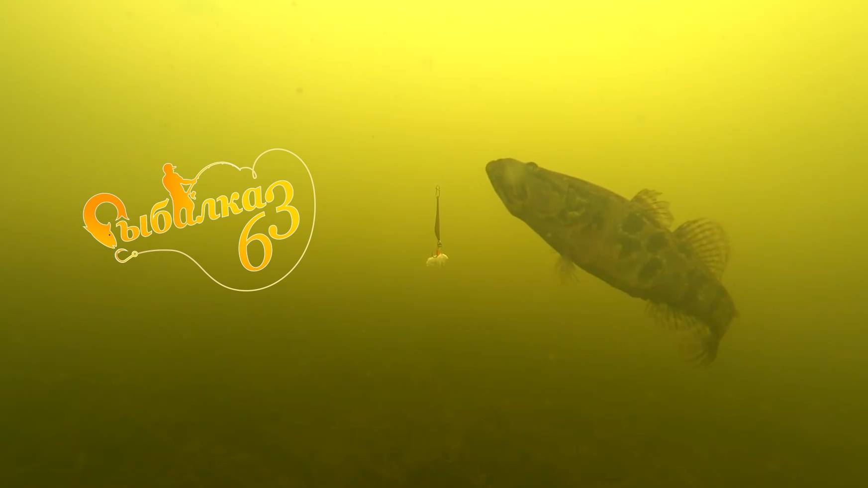 КАК МЫ РОТАНА ПО ПЕРВОМУ ЛЬДУ ЛОВИЛИ. ПОДВОДНЫЕ СЪЁМКИ ПОКЛЁВОК РЫБЫ смотреть онлайн