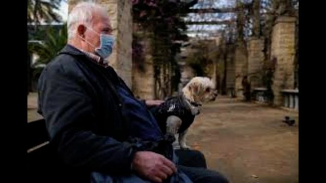 В Испании кошек и собак приравняли к членам семьи смотреть онлайн