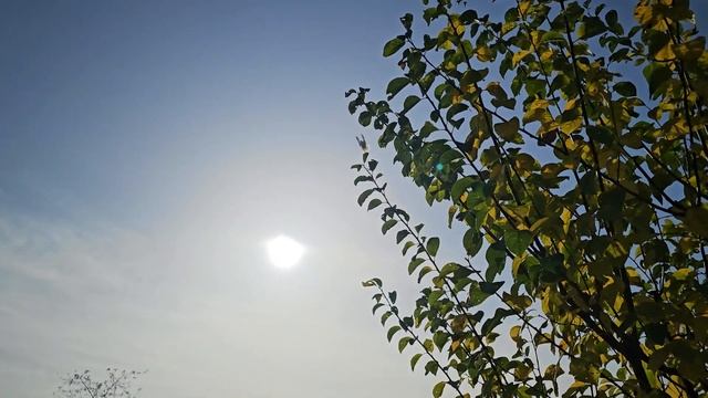 Голуби 2 км за нарушения тишины смотреть онлайн