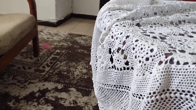 Кот Чарли и кошка Лили играют друг с другом. смотреть онлайн