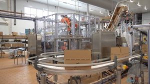 АРТЕХ. Автоматизация укладки мороженого в короба