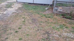 Уложил плитку в сарае. Засыпал двор щебнем.