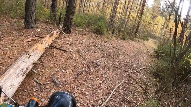 осенью на скуторе  на озеро чабышево речка картынь пробую дрон Dji Mini Se#djiminise#hondagiorno#