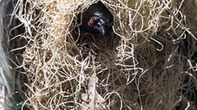 Мой милый дом смотреть онлайн