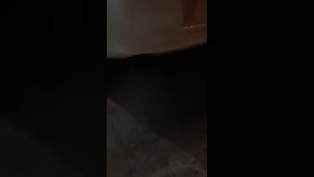 Cold start e85 смотреть онлайн