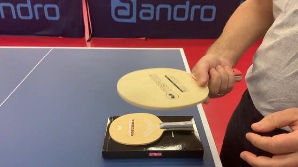 Butterfly A. GRUBBA All vs Основание TTSPORT ALL+