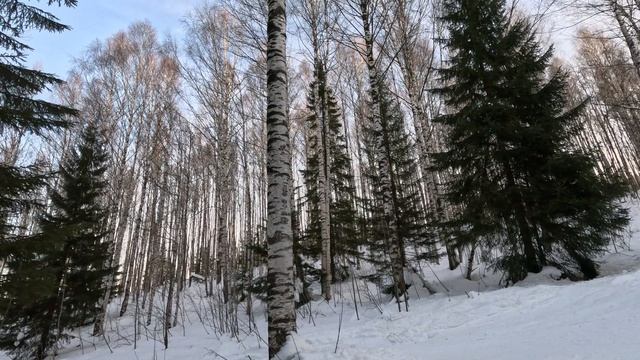 GX010197 смотреть онлайн