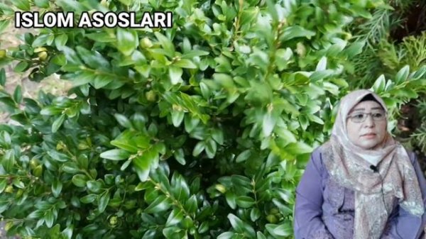 Феруза отинойи Дуо такдирни узгартиришига яна бир бор ишондим