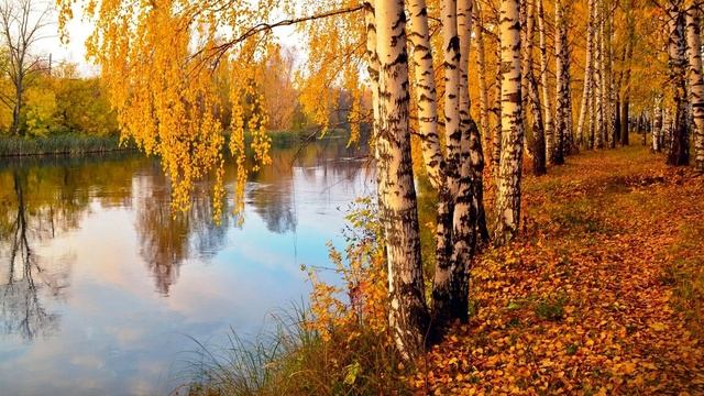 Чайковский Времена года Октябрь Autimn Song смотреть онлайн