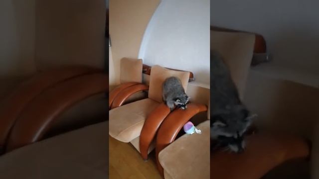 Засранец кусает за ноги смотреть онлайн