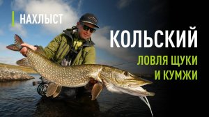 Ловля ЩУКИ и КУМЖИ на КОЛЬСКОМ. Исследование верховья р.Йоканьга, снасти и тактика ловли.