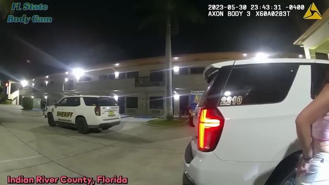 When Petit Thieves Get Caught Red Handed смотреть онлайн