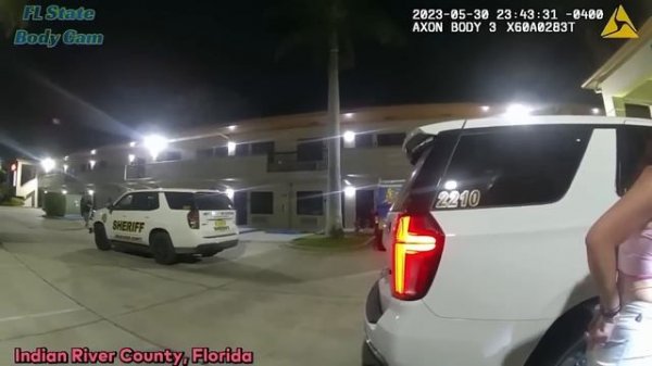 When Petit Thieves Get Caught Red Handed