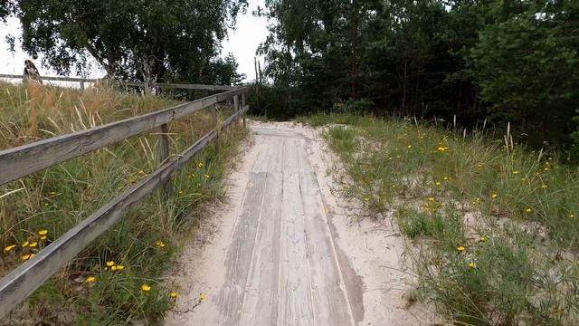 En biltur genom Skåne смотреть онлайн