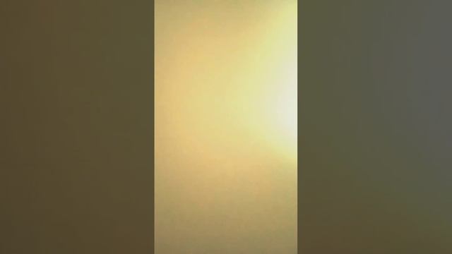 туториал на бумажную собаку смотреть онлайн
