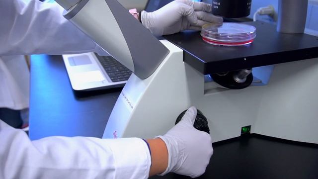 Division of Transplant Surgery at IU School of Medicine смотреть онлайн