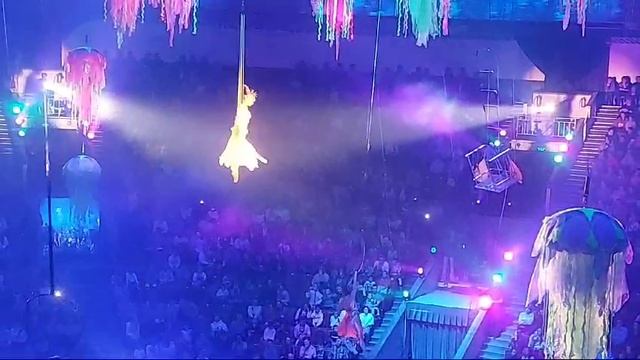 Волшебство на арене 3 смотреть онлайн