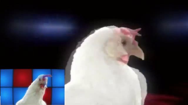 🐓🐓Techno Chicken 🐓Sparta Remix🐓 смотреть онлайн