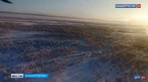 Стая Волков из Казахстана 🤯🤯😱😱