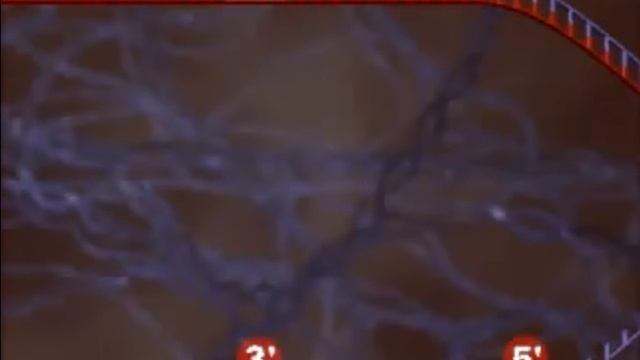 dna replication смотреть онлайн