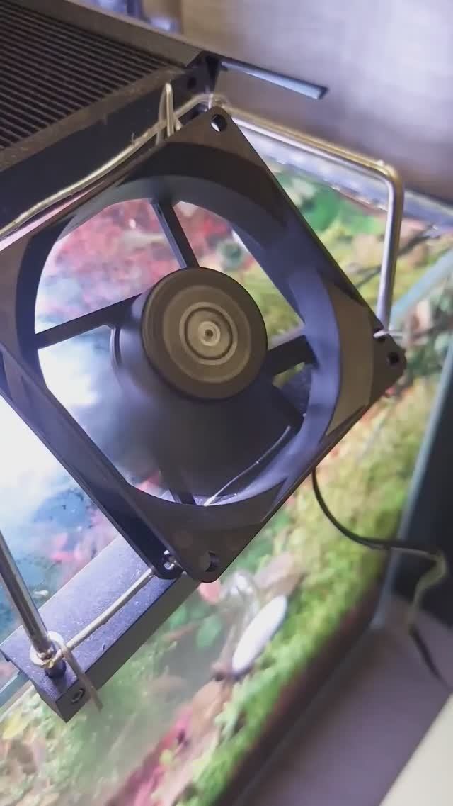 Как ОХЛАДИТЬ АКВАРИУМ? Вентилятор с АВТОМАТИЧЕСКИМ включением в ЖАРУ для охлаждения ВОДЫ смотреть онлайн