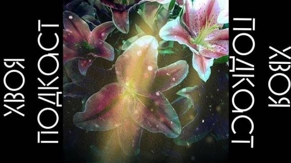 🌲Willoos - Begeerte (album 2023) | ХВОЯ PODCAST