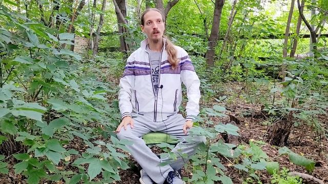 Важные факторы духовного роста. Что нам позволяет взростать без явных спадов?! смотреть онлайн