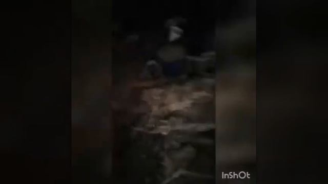 Муравей в помощь смотреть онлайн