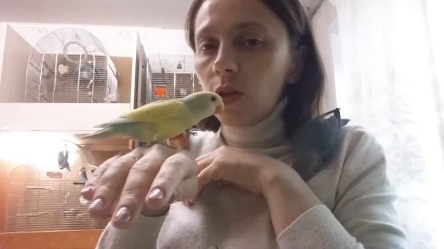 Маски.Часть 2. смотреть онлайн