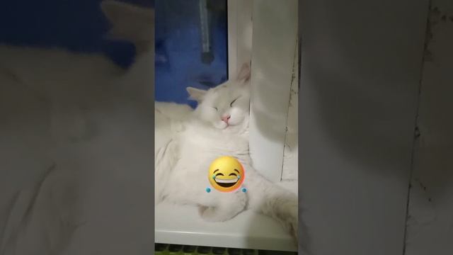 Я после работы #юмор смотреть онлайн