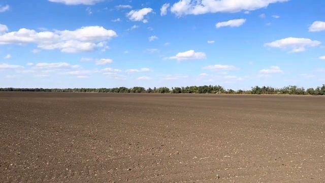 Черный пар. 13.08.24 смотреть онлайн