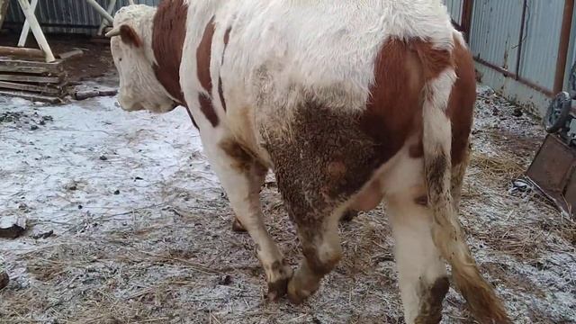 Любовь не вздохи на скамейке