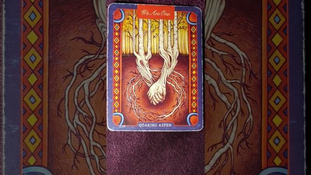 Quaking Aspen 🍃We are One 🍃 The Illustrated Herbiary card meaning смотреть онлайн