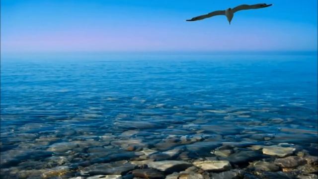 Даур Чирг Диалог Муз Чирг Д , сл Кенчешаов А смотреть онлайн