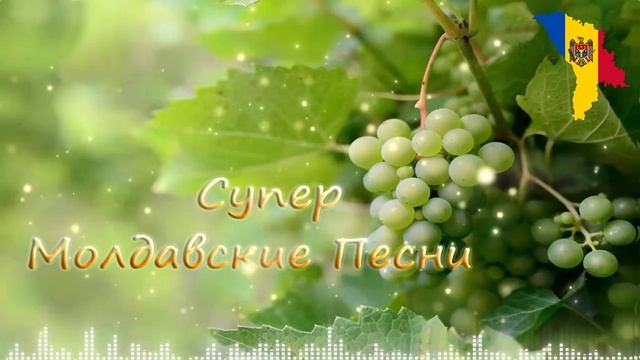 🔴 Muzica de petrecere moldoveneasca 2024 - ♫♪♬♪🔥♫♪♬🎤🔊🎧🎼 смотреть онлайн