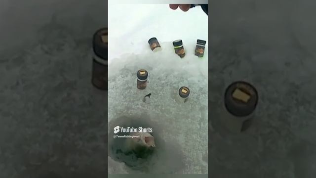 УБЕЖАЛА КРАСОТКА В ЛУНКУ❗ смотреть онлайн