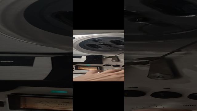1000033687.mp4 смотреть онлайн
