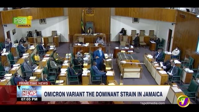 Omicron Variant the Dominant Strain in Jamaica | TVJ News смотреть онлайн