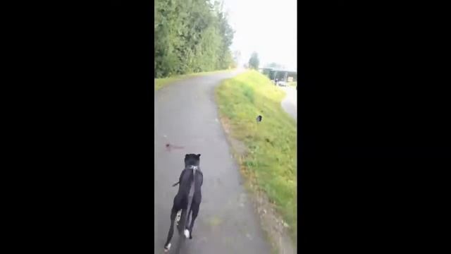 Push the tempo смотреть онлайн