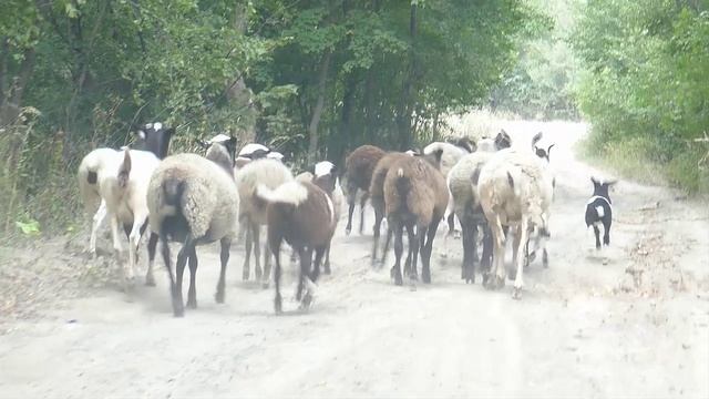 х.Богураев_Ростовская обл. смотреть онлайн