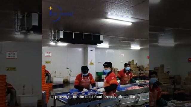 Icemedal cold room смотреть онлайн