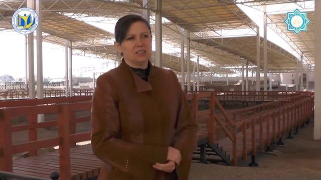 Онлайн лекция. Городище Тараз смотреть онлайн