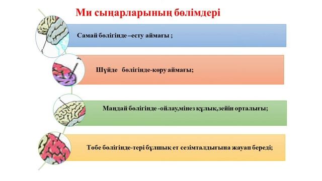 Биология, 7 сынып, ІІІ тоқсан, 7 1 7 4 сабақ смотреть онлайн