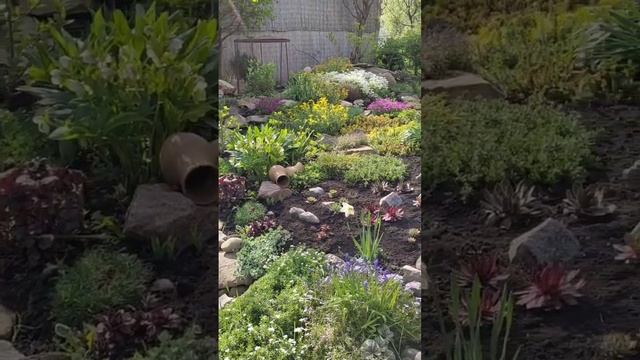 4 мая 🌞 в нашем саду 🌞 смотреть онлайн