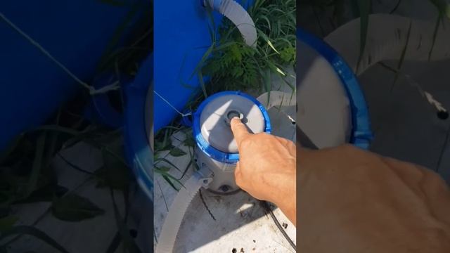 химия для чистки бассейна #бассейн #чисткабассейна смотреть онлайн