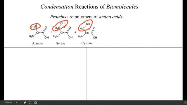 Ch.24-Organic_Chem Lecture Part 3 смотреть онлайн
